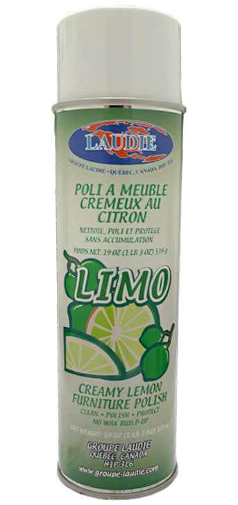 Poli Meubles Aerosol Haute Brillance( 18Oz) Sw811