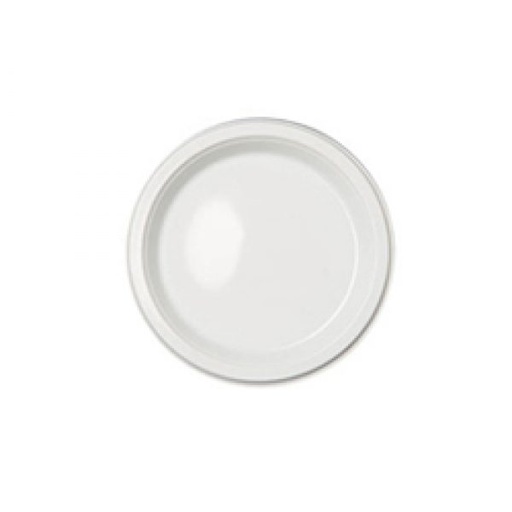 [176] Assiettes Plastique Blanc 6"
